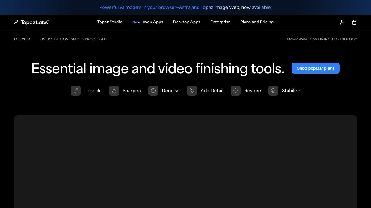 Topaz Labs screenshot